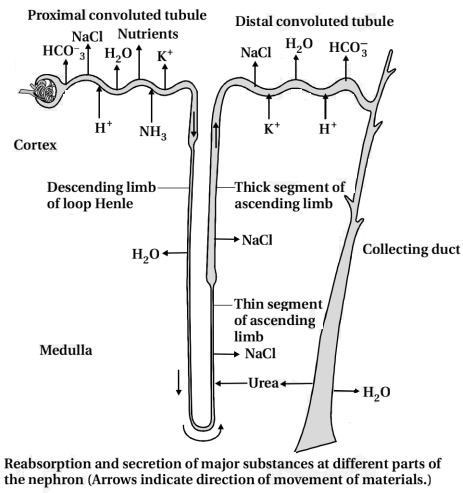 Solution diagram