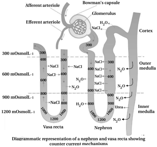 Solution diagram