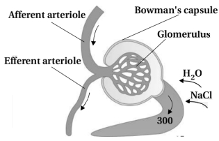 Solution diagram