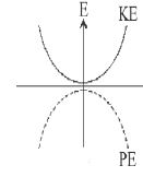 Option B