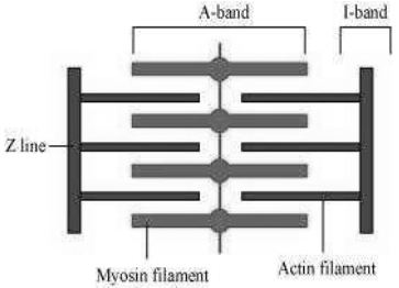 Solution diagram