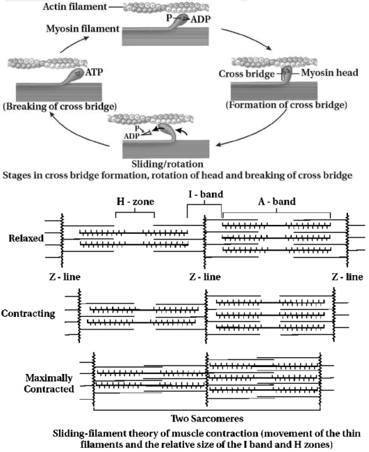 Solution diagram