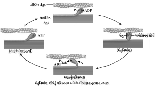 Solution diagram