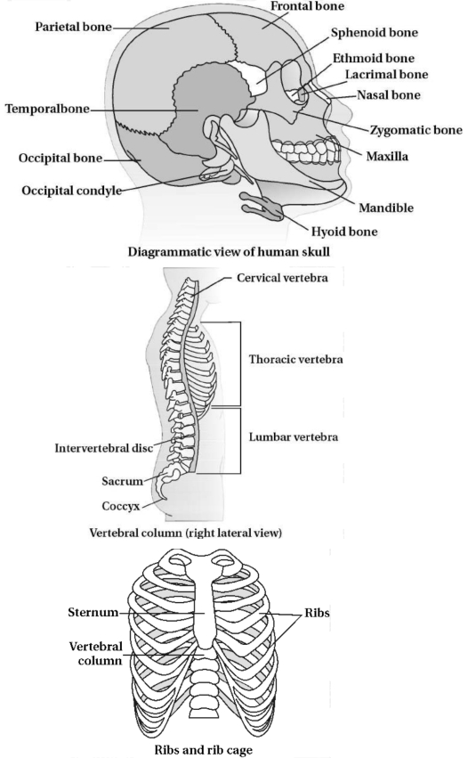 Solution diagram