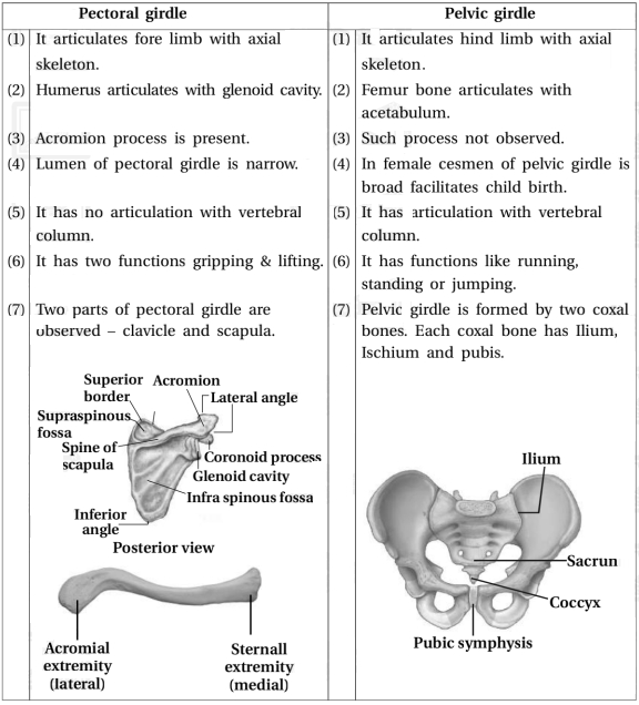 Solution diagram