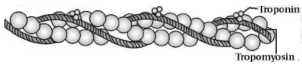 Solution diagram