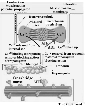 Solution diagram