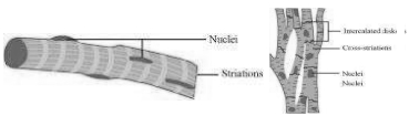 Solution diagram