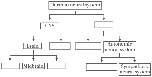 Question diagram