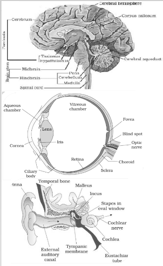 Solution diagram