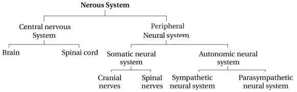 Solution diagram