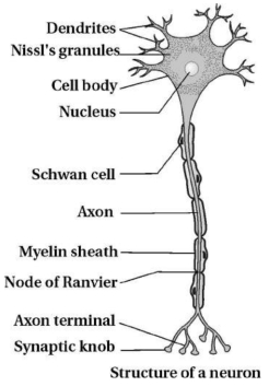 Solution diagram