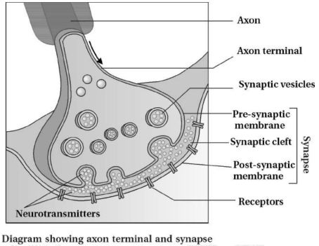 Solution diagram
