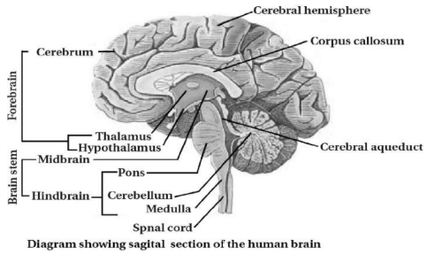 Question diagram