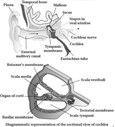 Solution diagram
