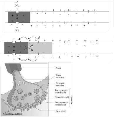 Solution diagram