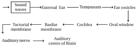 Solution diagram