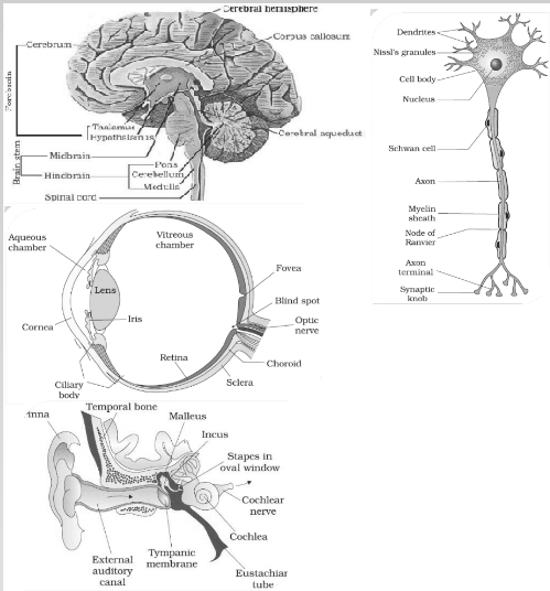 Solution diagram