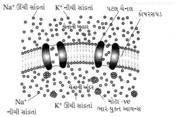 Solution diagram
