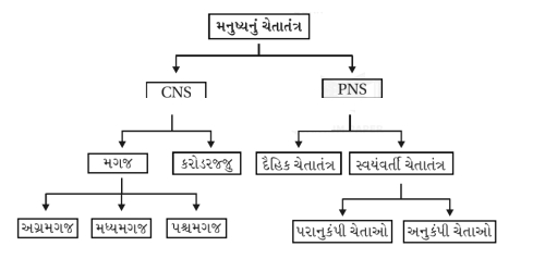 Solution diagram
