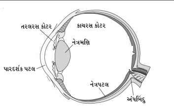 Solution diagram