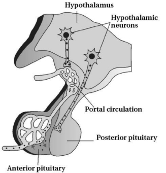 Solution diagram