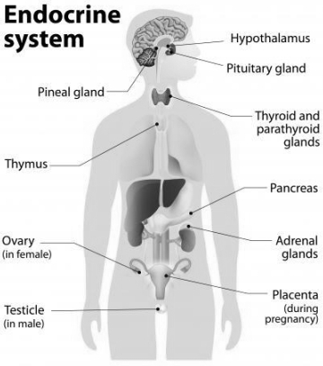 Solution diagram
