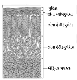 Solution diagram