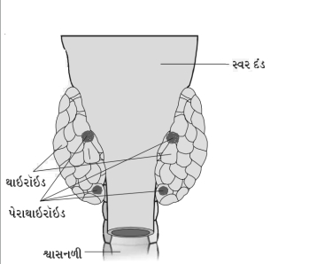 Solution diagram