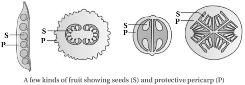 Solution diagram