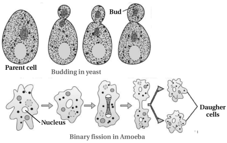 Solution diagram