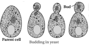 Solution diagram
