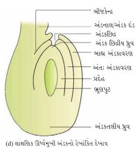 Solution diagram