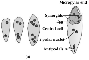 Question diagram
