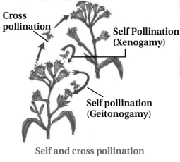 Solution diagram