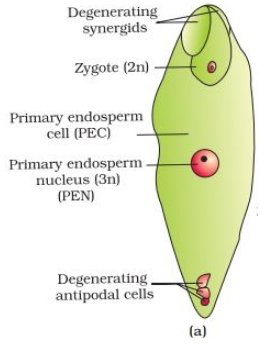 Solution diagram