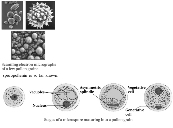 Solution diagram