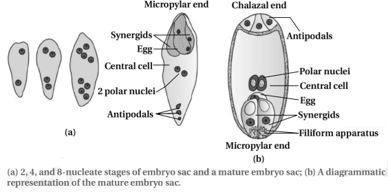 Solution diagram