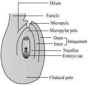 Question diagram