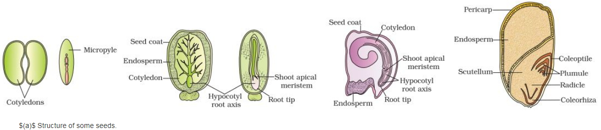 Solution diagram