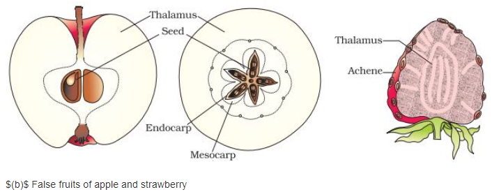 Solution diagram