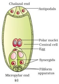 Solution diagram