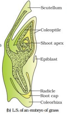 Solution diagram