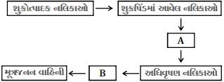 Question diagram