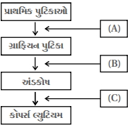 Question diagram