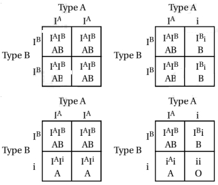 Solution diagram
