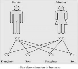 Solution diagram