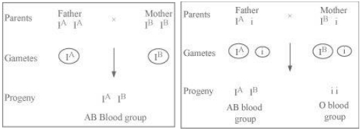 Solution diagram