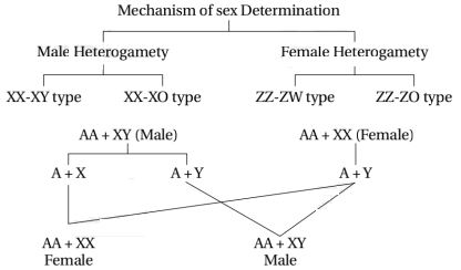 Solution diagram