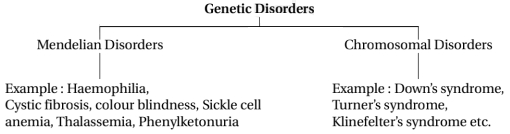 Solution diagram